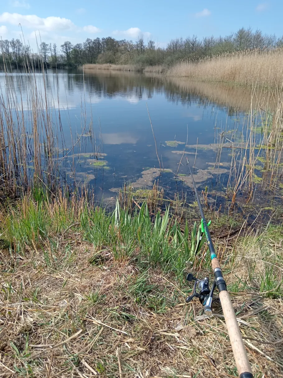 Rethwischer Torfmoor angeln
