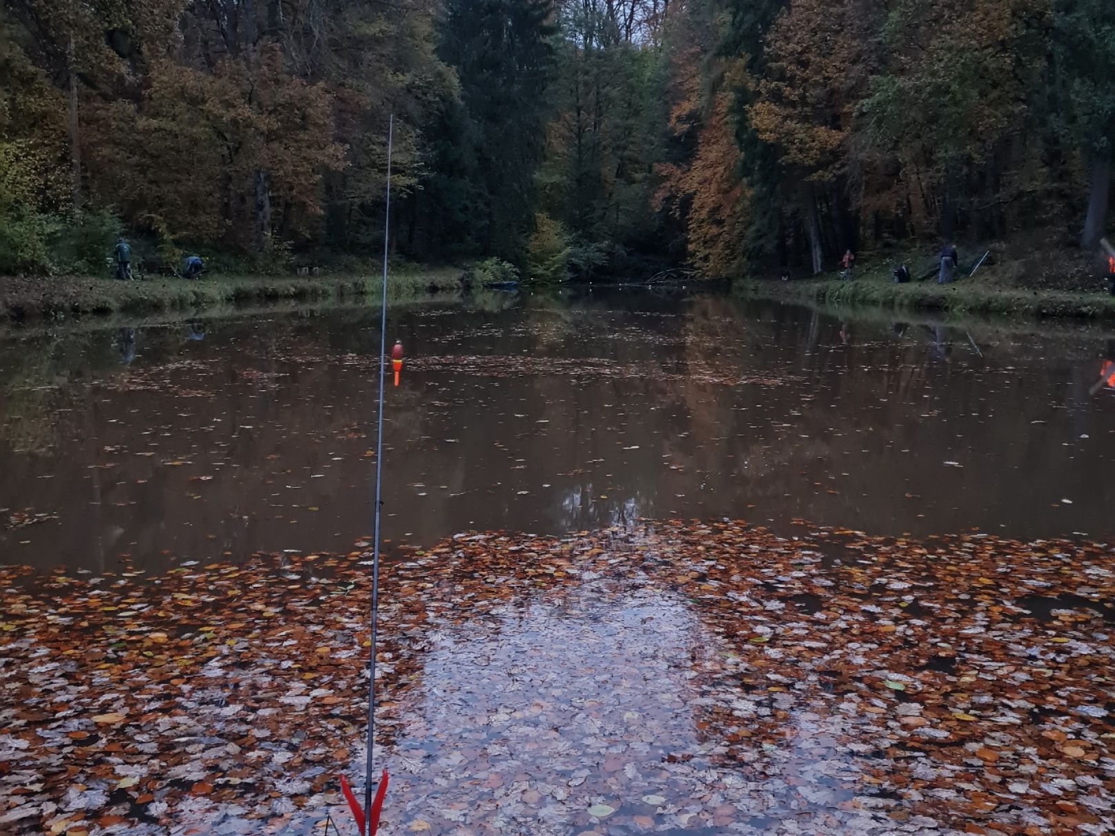 Entenweiher (Frohnhofen) angeln