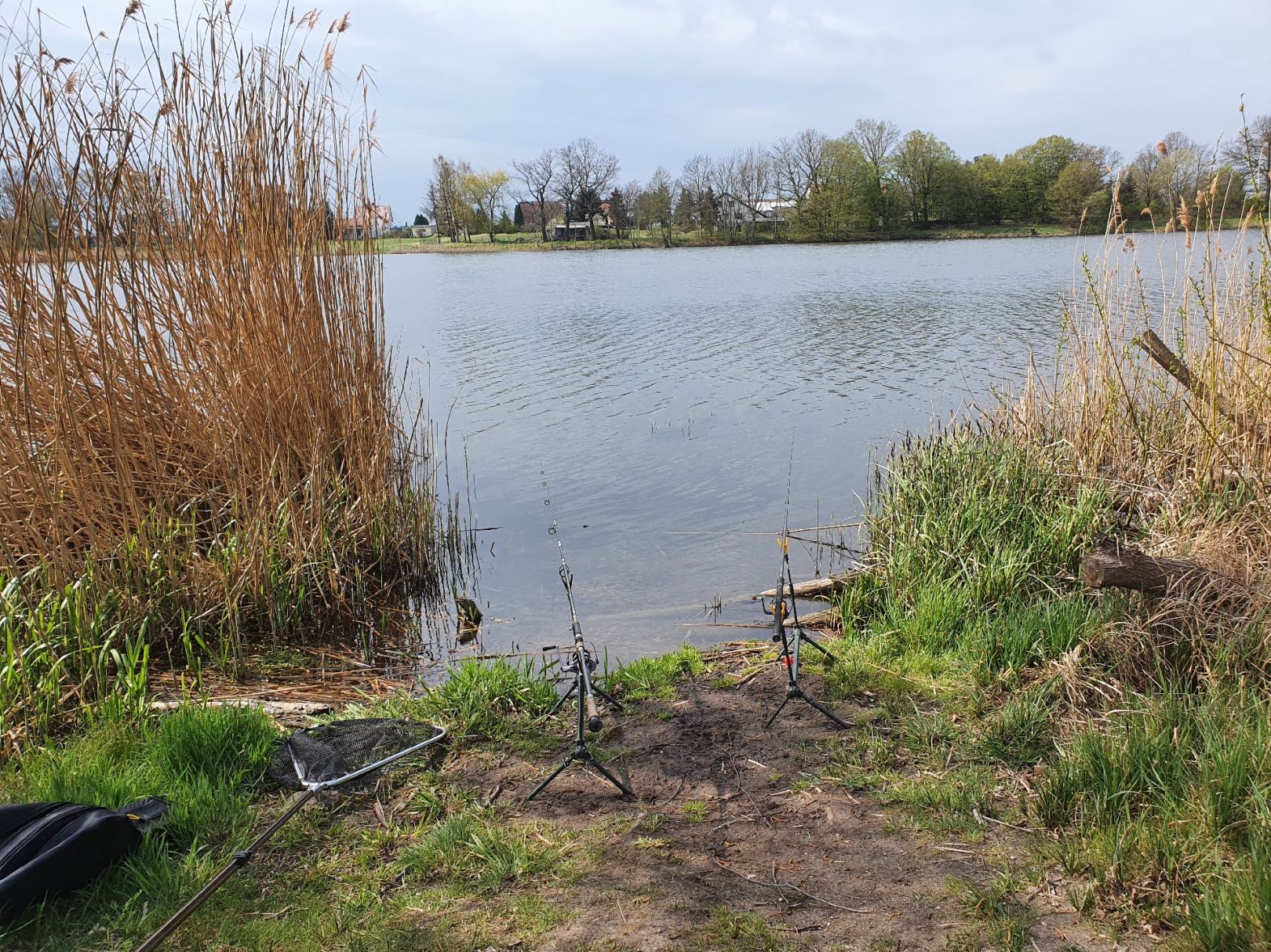 Hölzchenteich (Stausee Süptitz) angeln