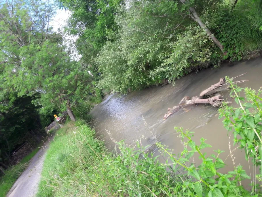 Umpfer (Sachsenflur) angeln