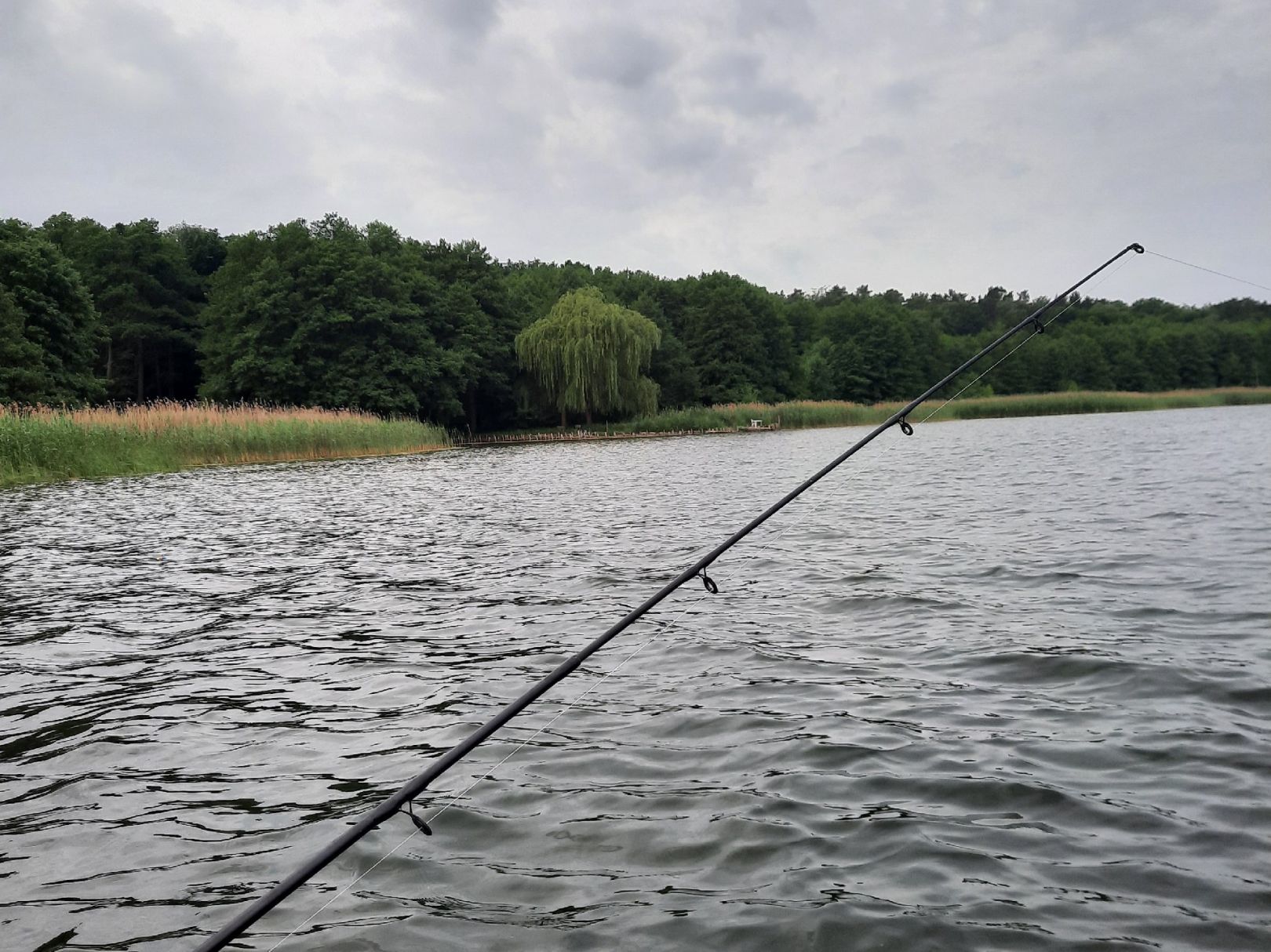 Grimnitzsee (Joachimsthal) angeln