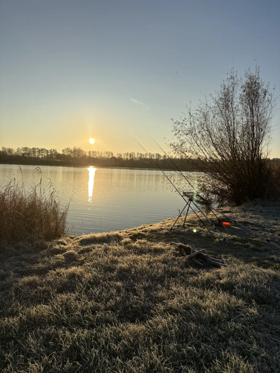 Rohrberger See angeln