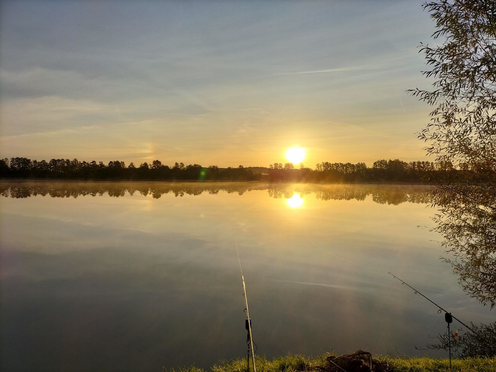 Rohrberger See angeln