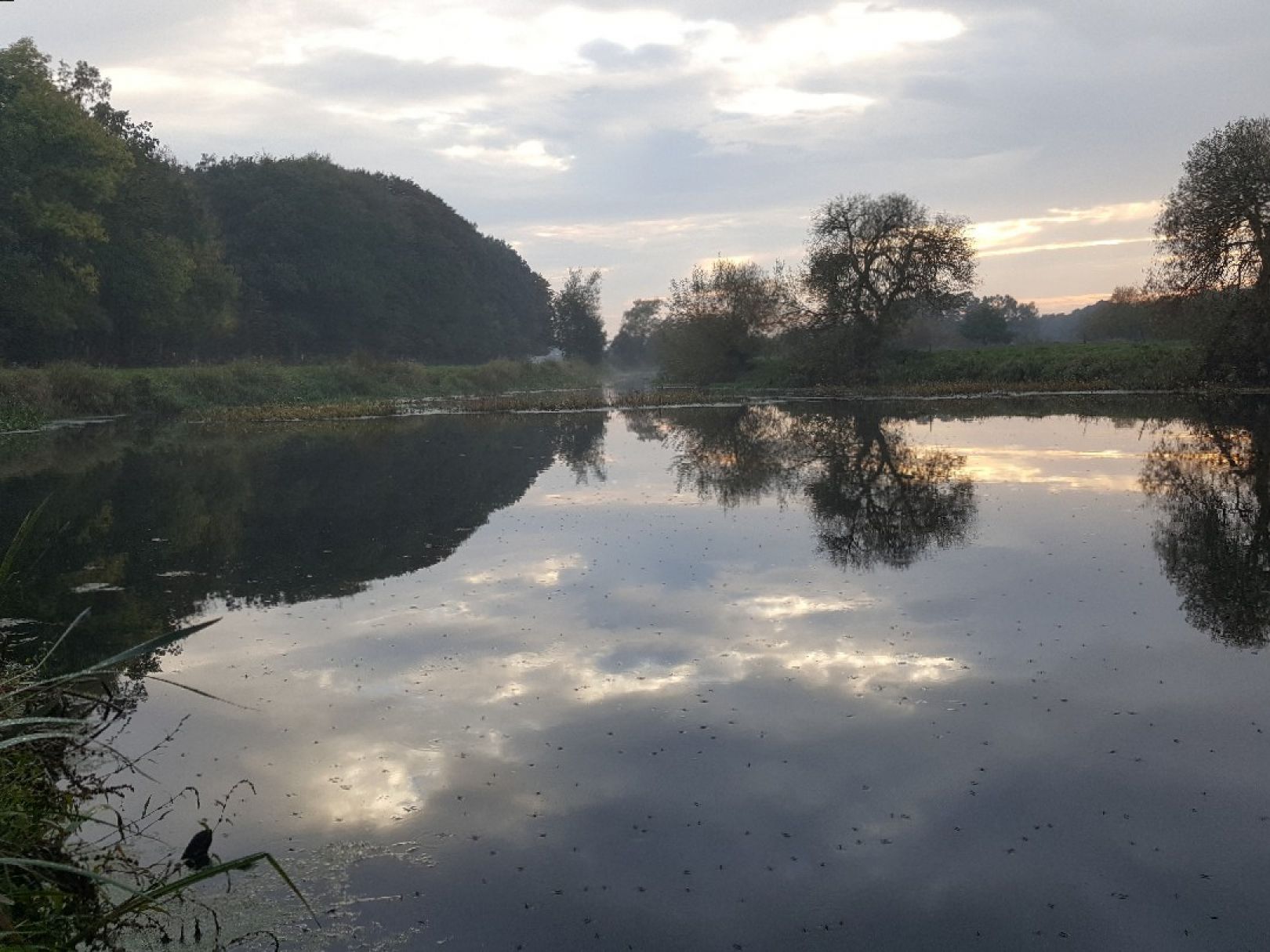 Angeln in Rotenburg (Wümme)