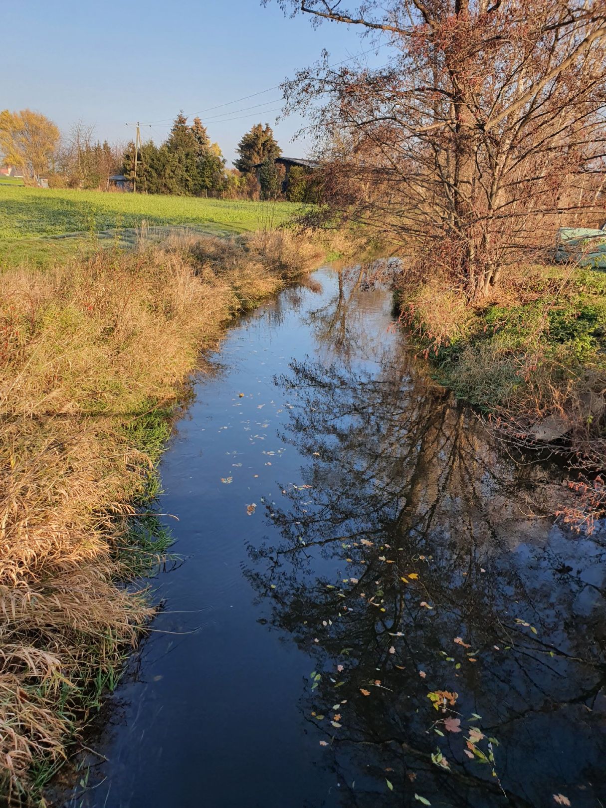 Profener Elstermühlgraben angeln