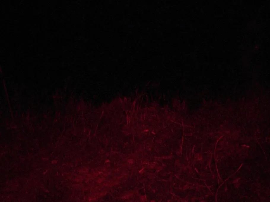 Schleienloch (Geratal Kies) angeln