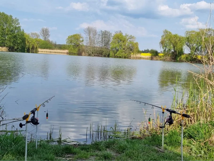 Kleinspeicher Cunnersdorf/ Wachtelteich angeln