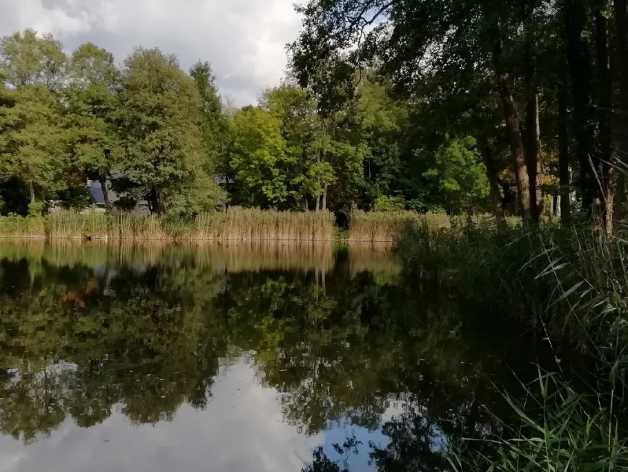 Mergelteiche Wildau angeln