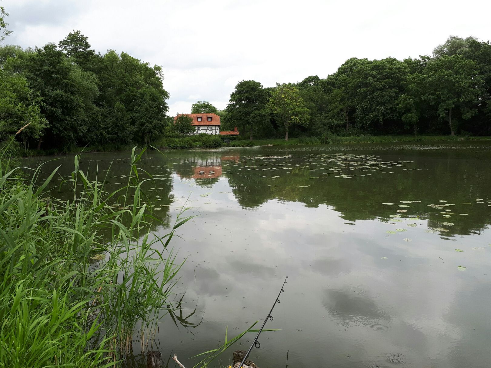 Untermühlenteich (Langenstein) angeln