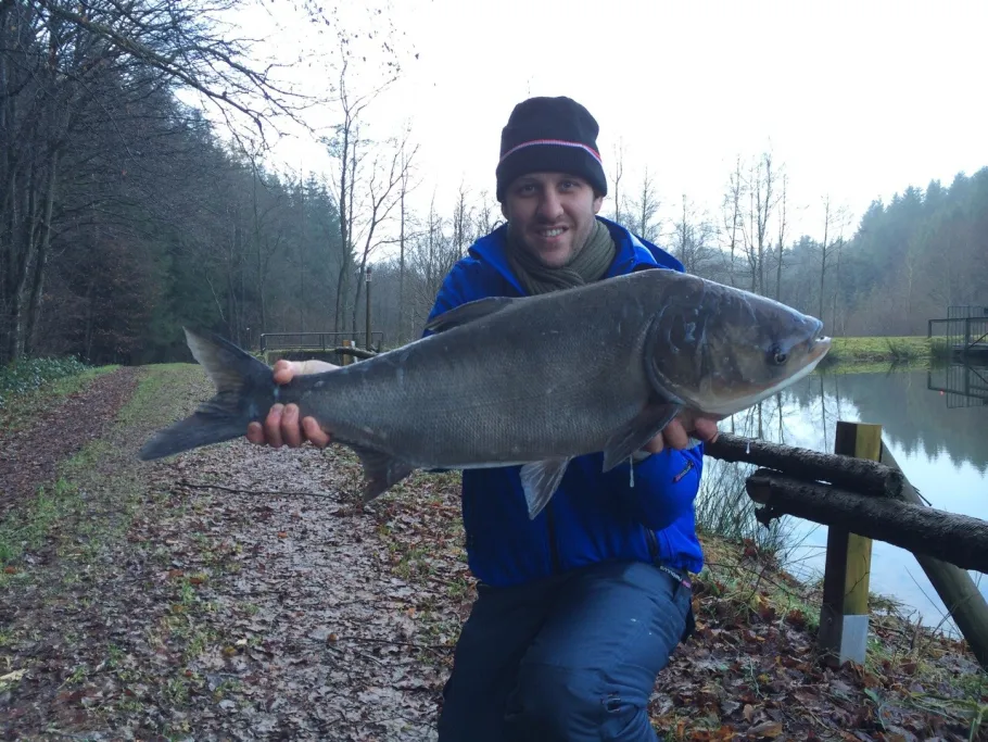 Schillinger Weiher (Spießbratensee) angeln
