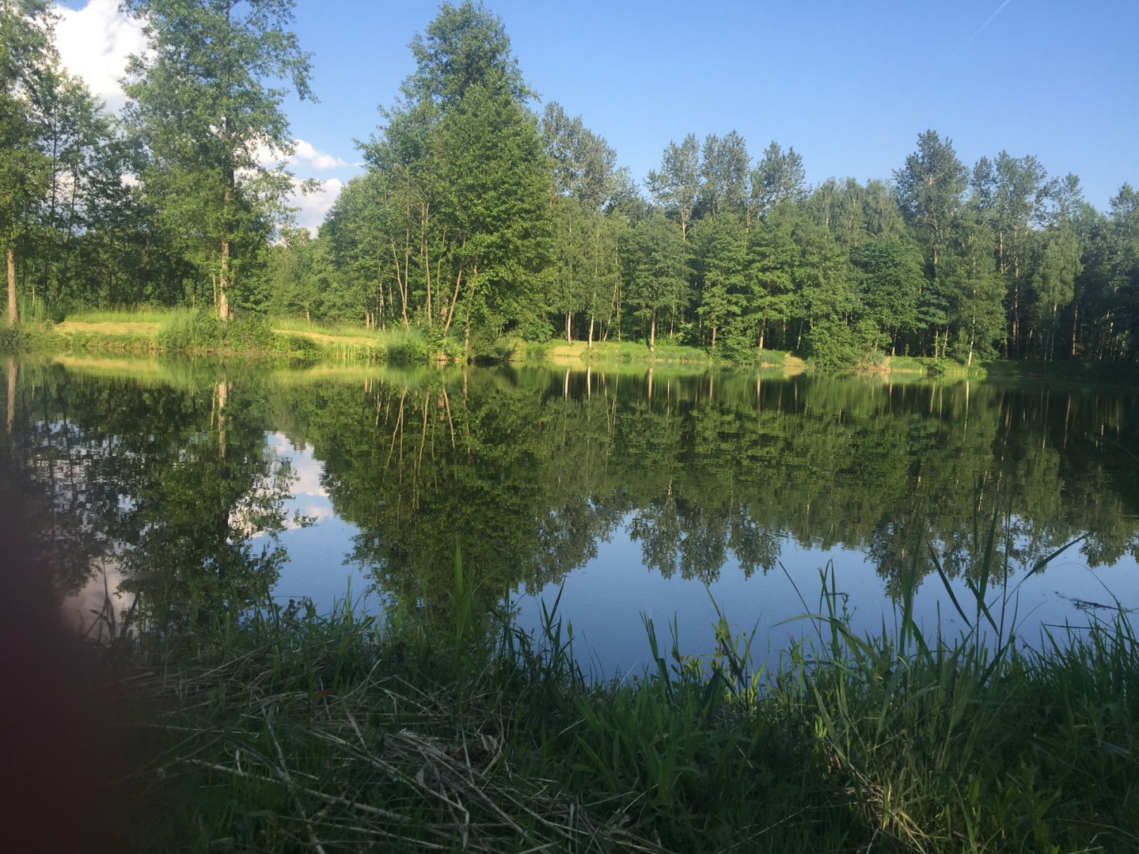 Weiheranlage Loham angeln