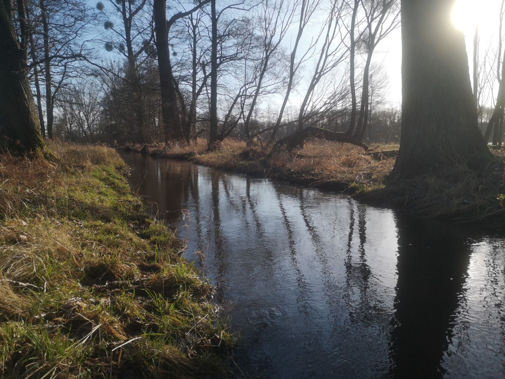 Angeln in Kirch Jesar