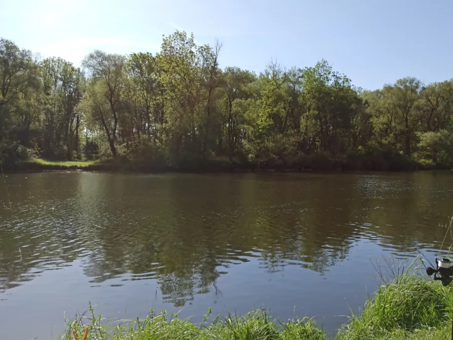 Lech (Ellgau) angeln