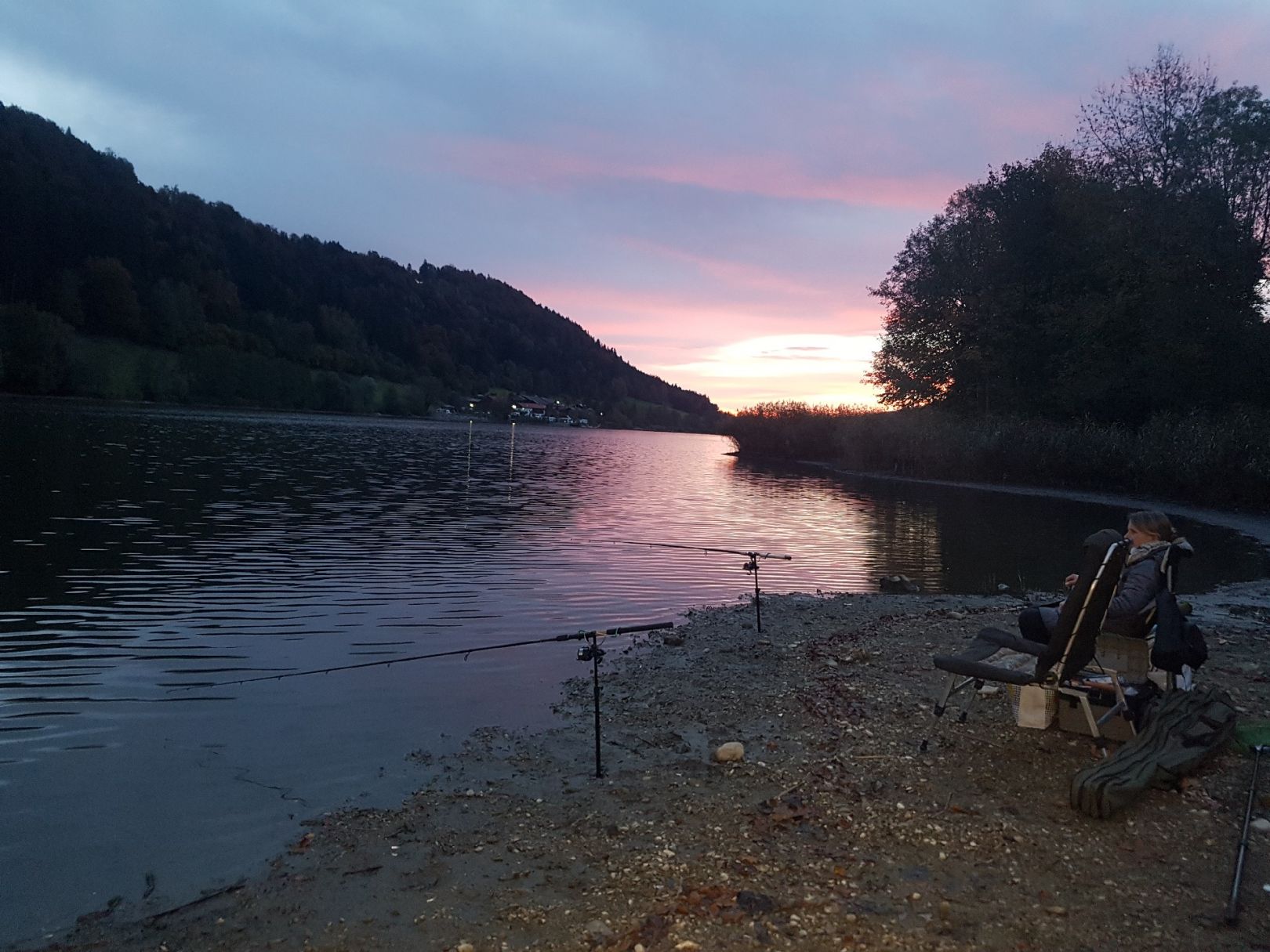 Stallauer Weiher angeln