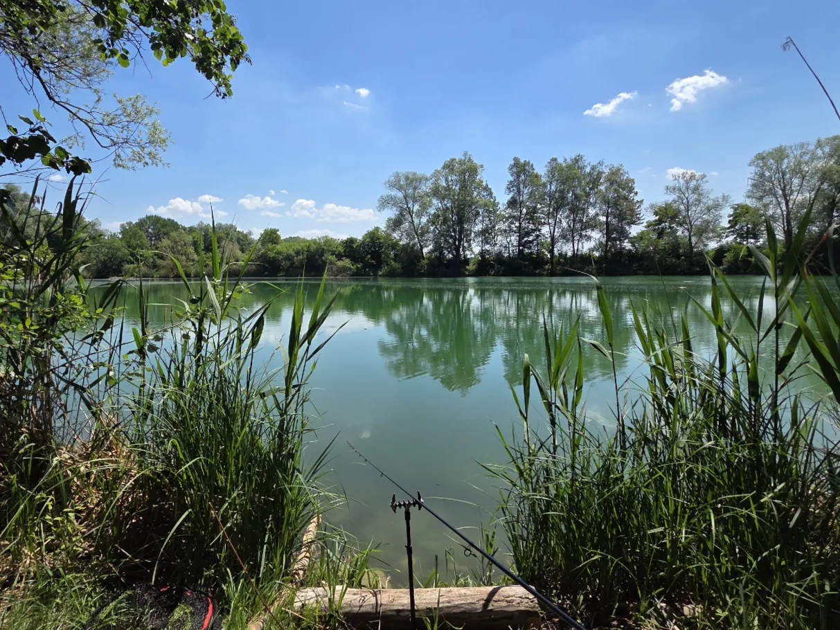 Bertholdweiher (Aindling) angeln