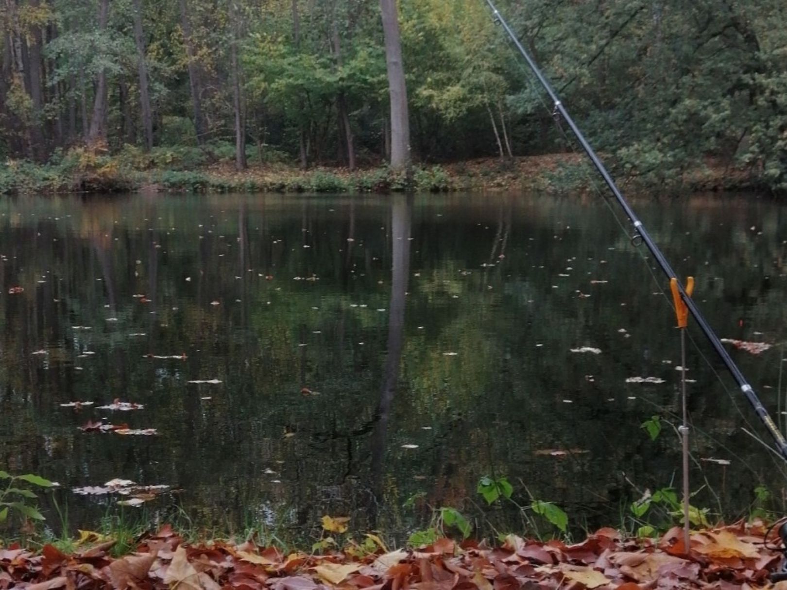 Nordteich (Pennigbüttel) angeln