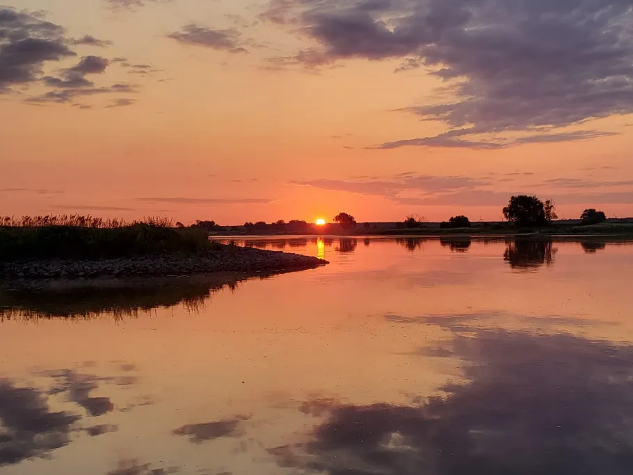 Elbe (Bittkau-Grieben) angeln