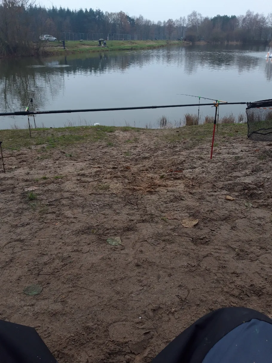 Angelteich Borger See angeln