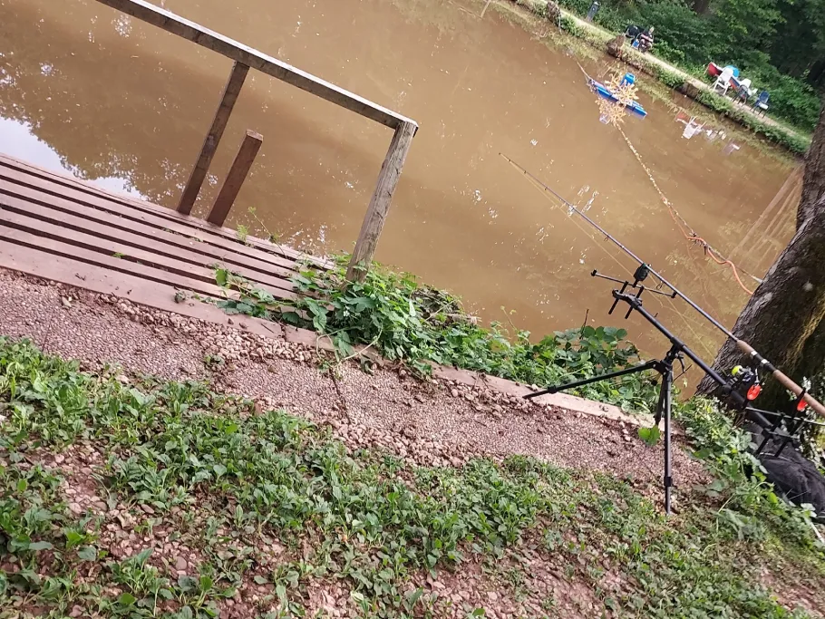 Forellenweiher Föhren angeln