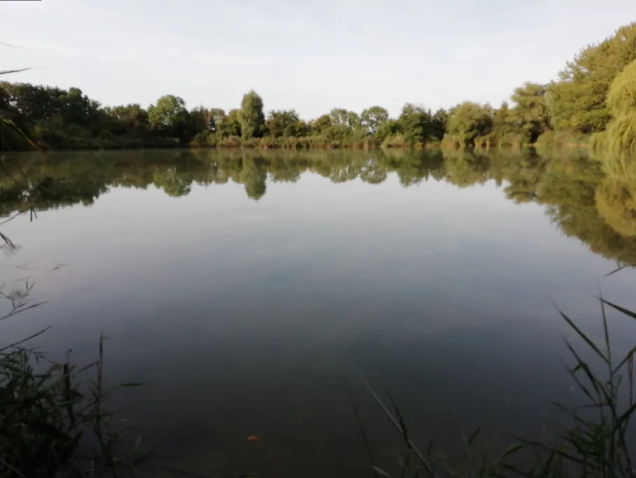 Angerteich (Krostitz) angeln