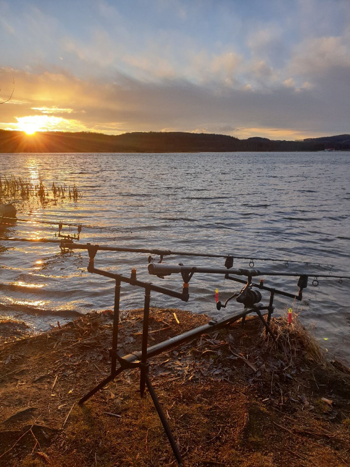 Olbersdorfer See angeln