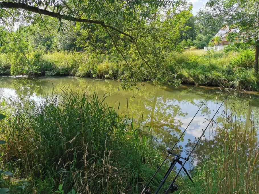 Vils (Vilseck) angeln