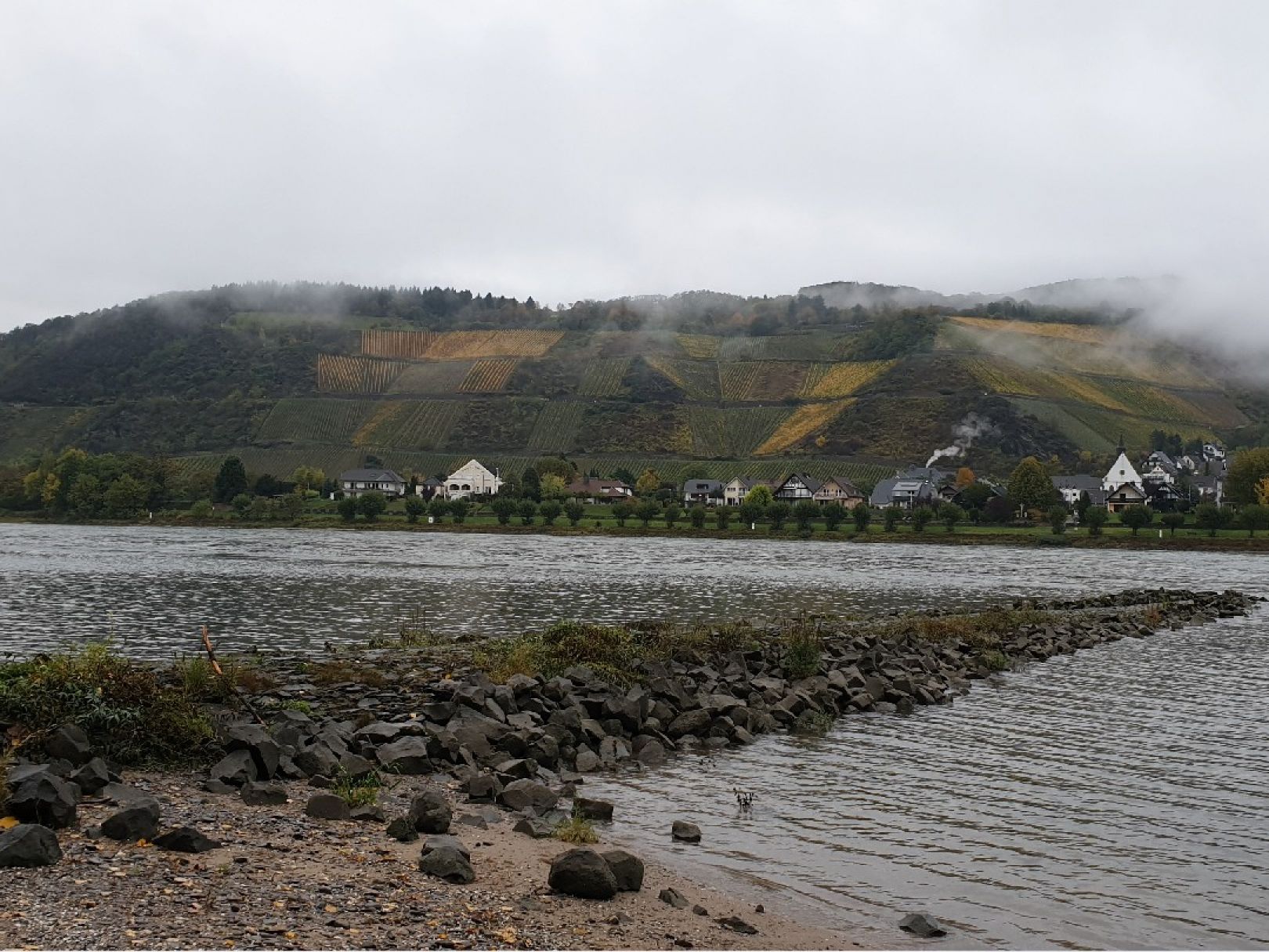Rhein (Andernach) angeln