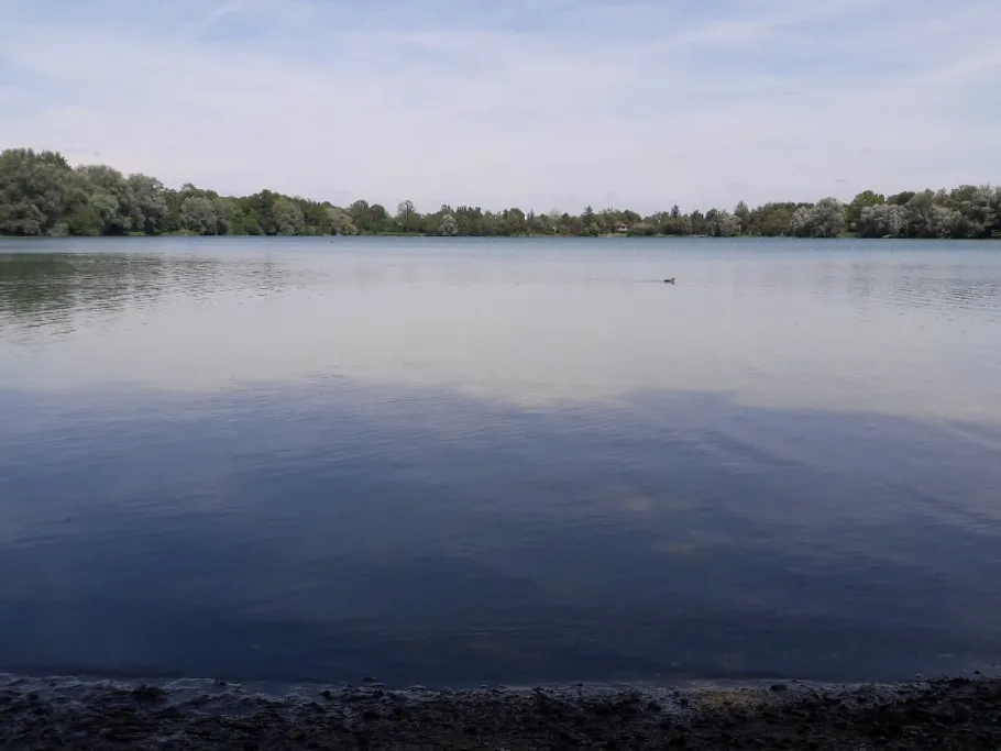 Fasaneriesee (München) angeln