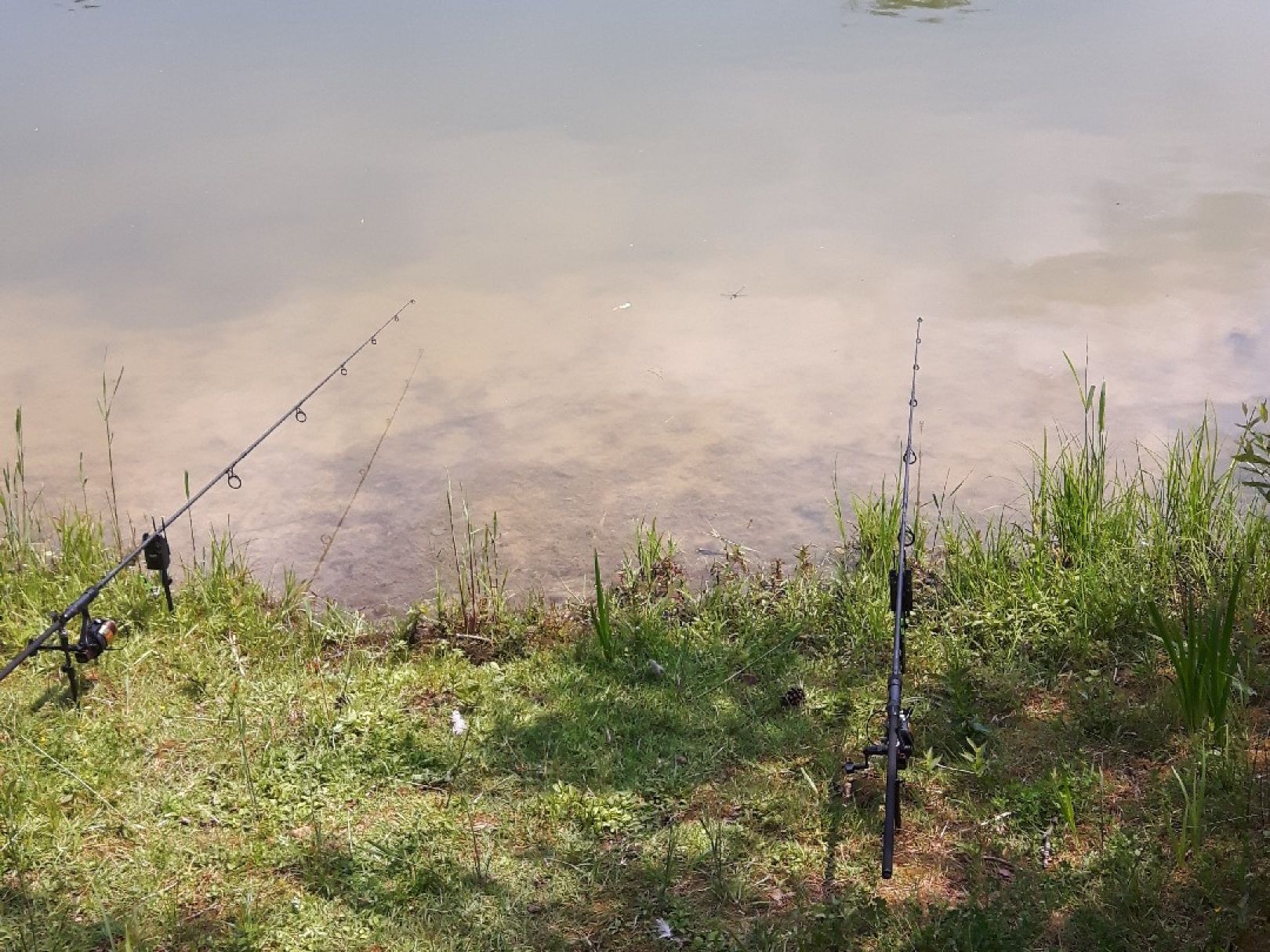 Bitzensee (Münster/Dieburg) angeln