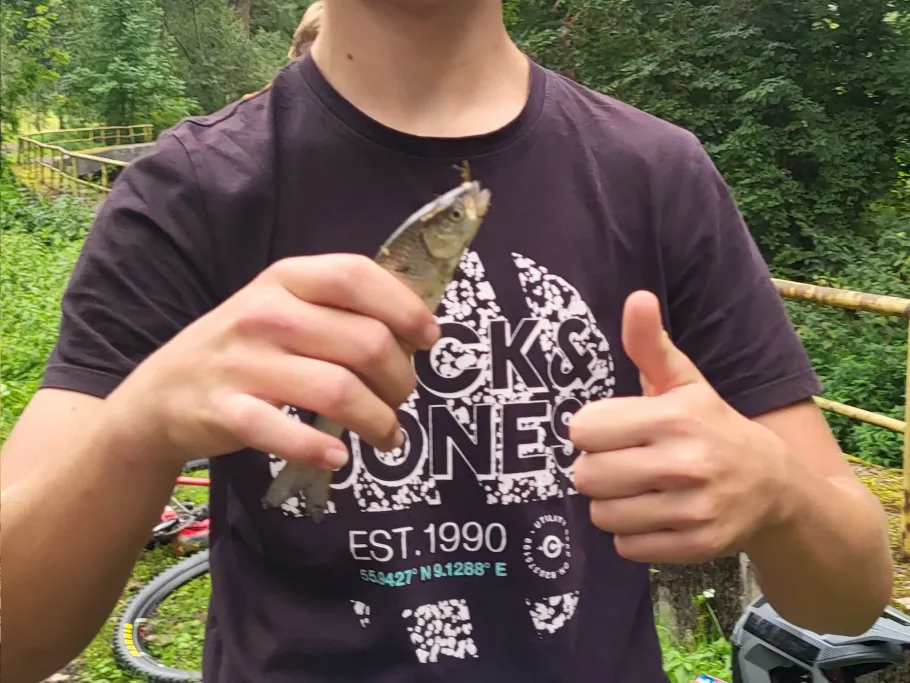 Fuhse (Ilsede) angeln