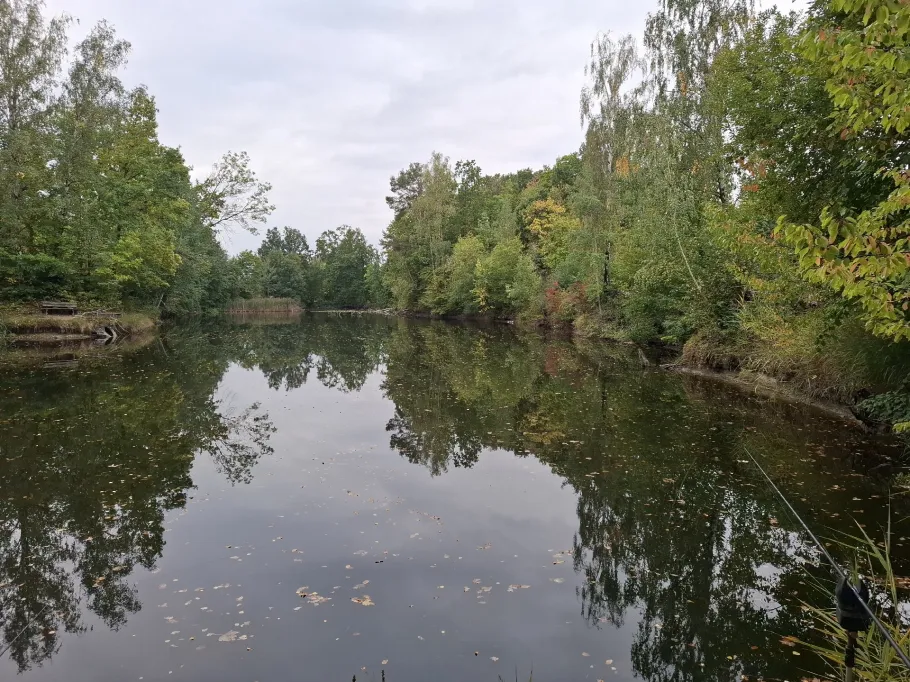 Turbine (Geithain) angeln