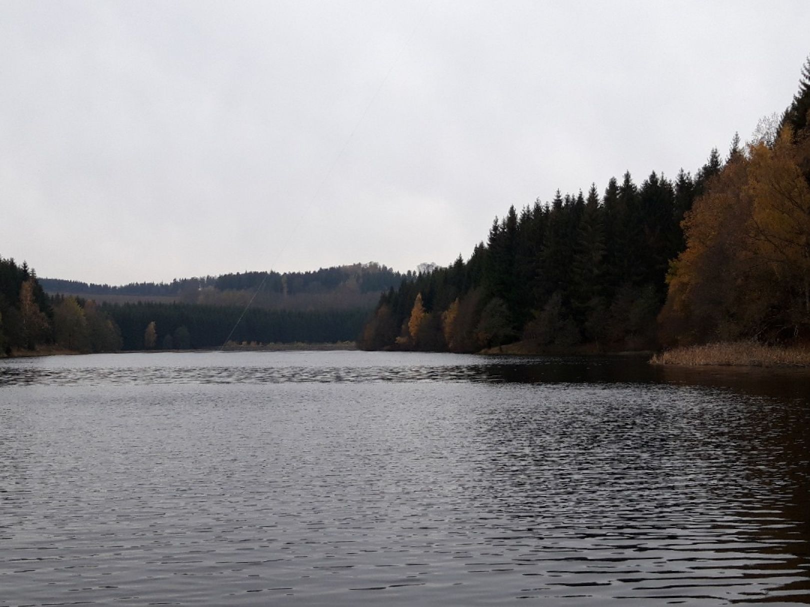 Vorsperre Dittersbach angeln