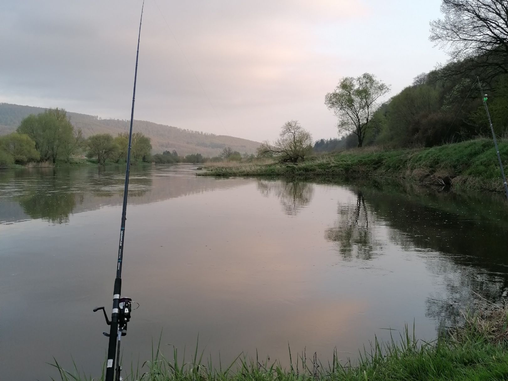 Weser (Wesertal) angeln