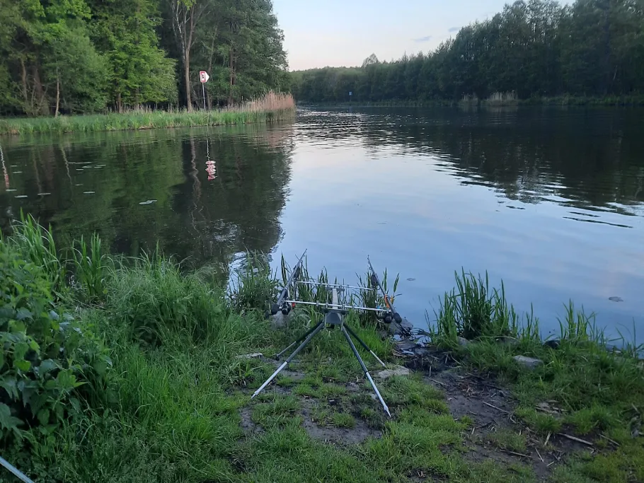 Spree (Berkenbrück) angeln