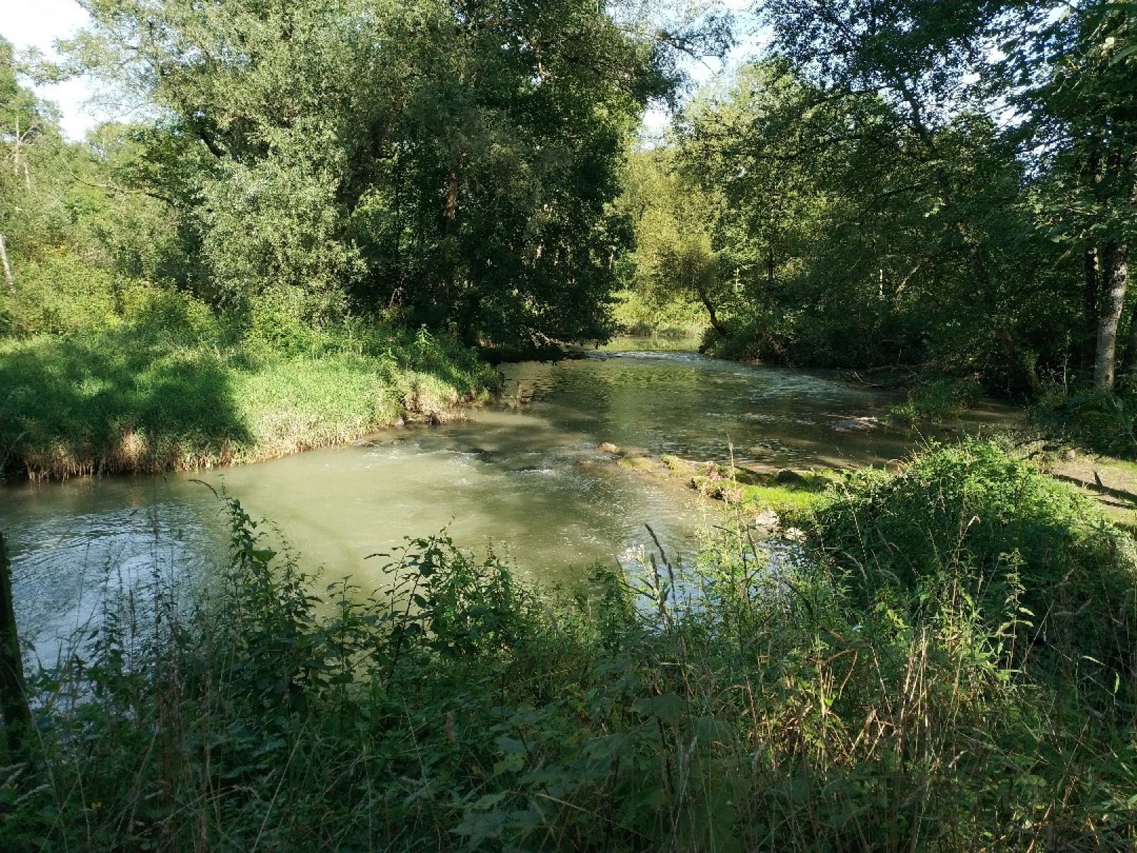 Sur (Freilassing) angeln