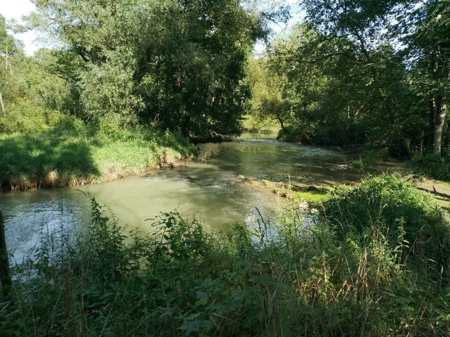 Sur (Freilassing) angeln