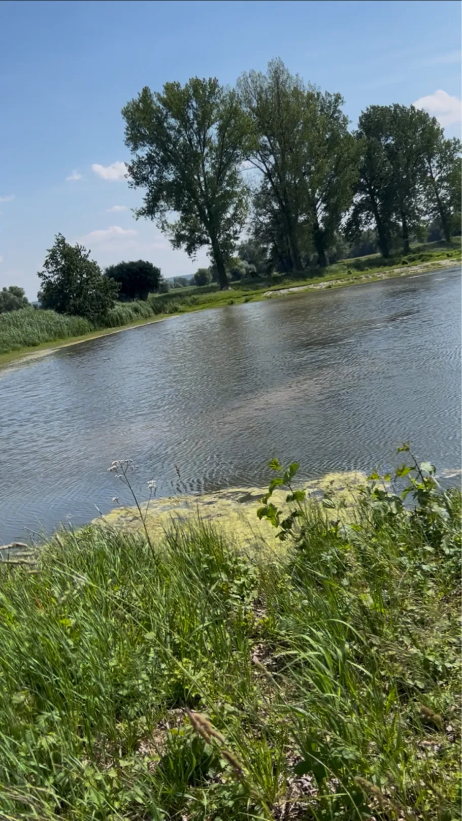 Ottacher Weiher (Arbing) angeln