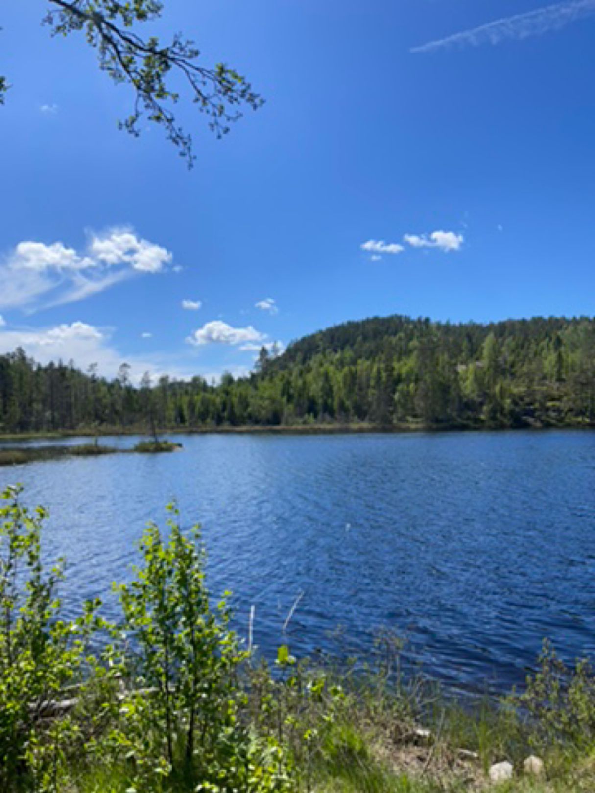 Kvarntjärnen angeln