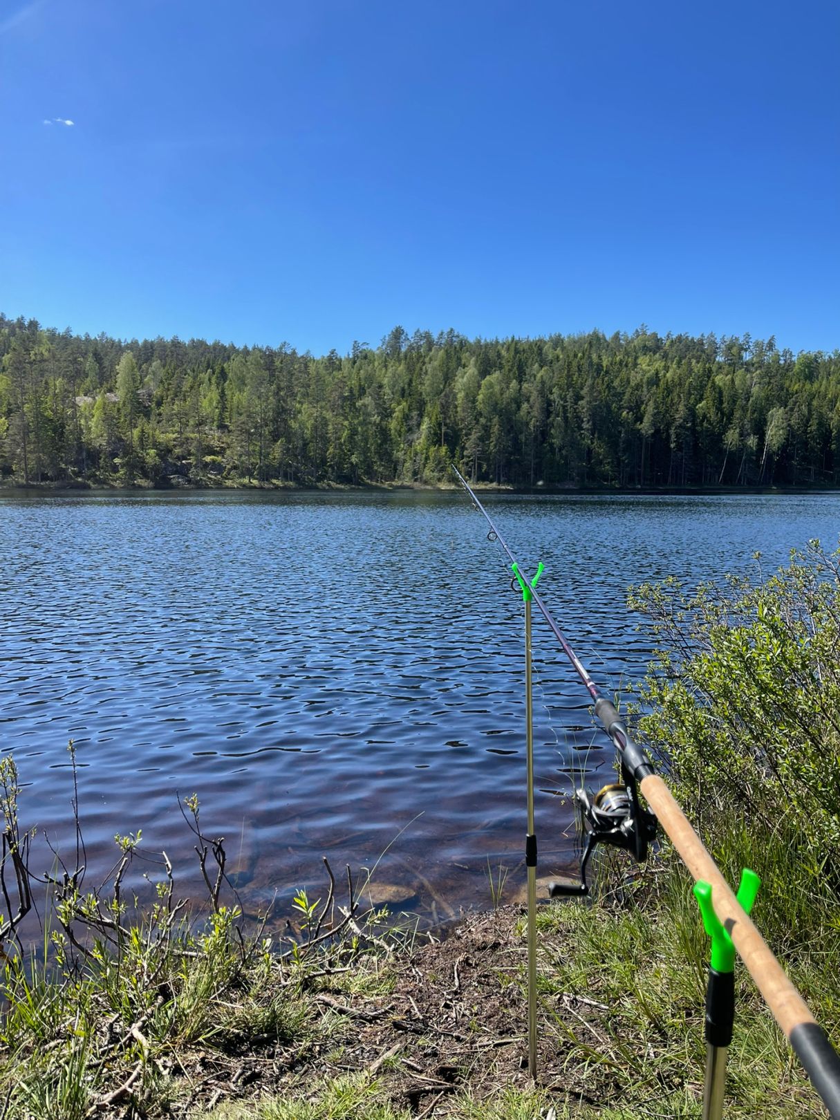 Kvarntjärnen angeln