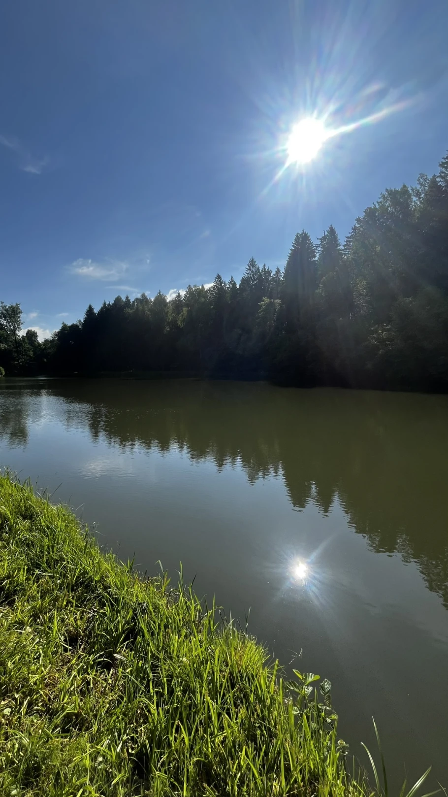 Wölmsteich (Sebnitz) angeln