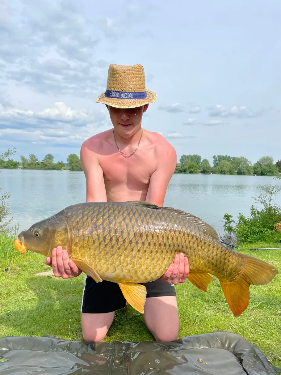 Baggersee Hartkirchen angeln