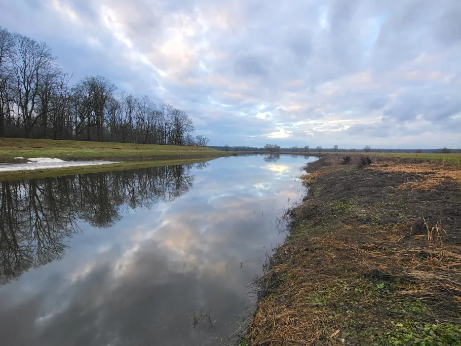 Försterloch (Seegrehna) angeln