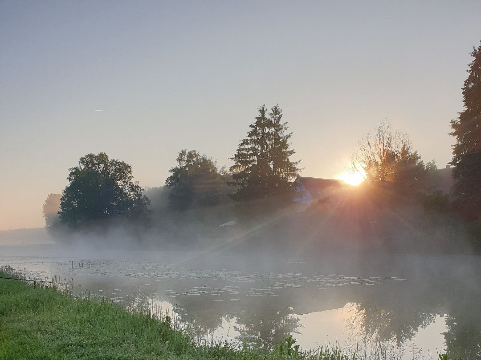 Langer Weiher (Veitsbronn) angeln