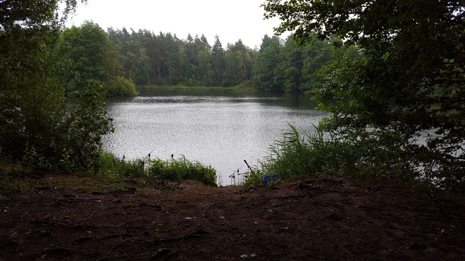 Kiessee Vierhöfen (ASV Overhaken) angeln