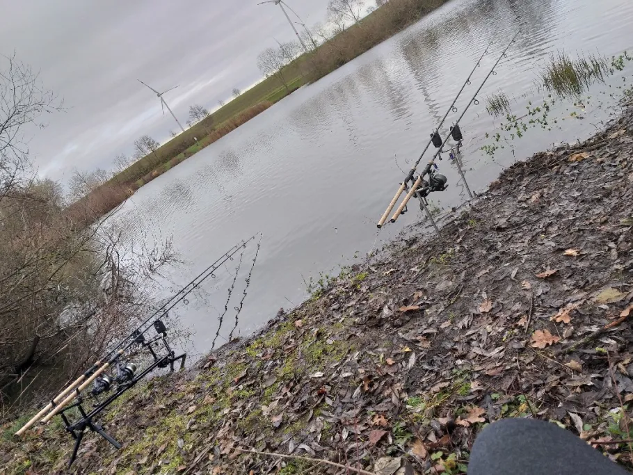 Dörrmenzer See angeln