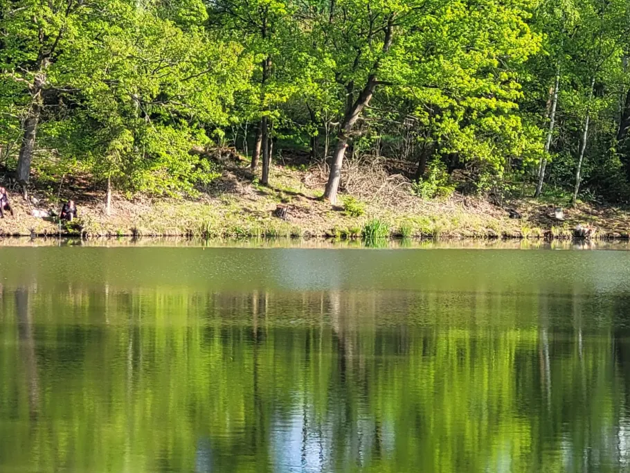 Elbingstalteich angeln