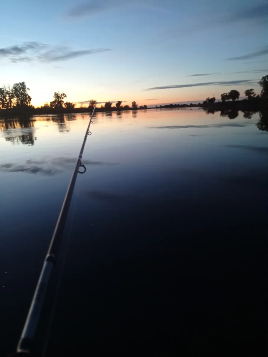 Elbe (Klöden) angeln