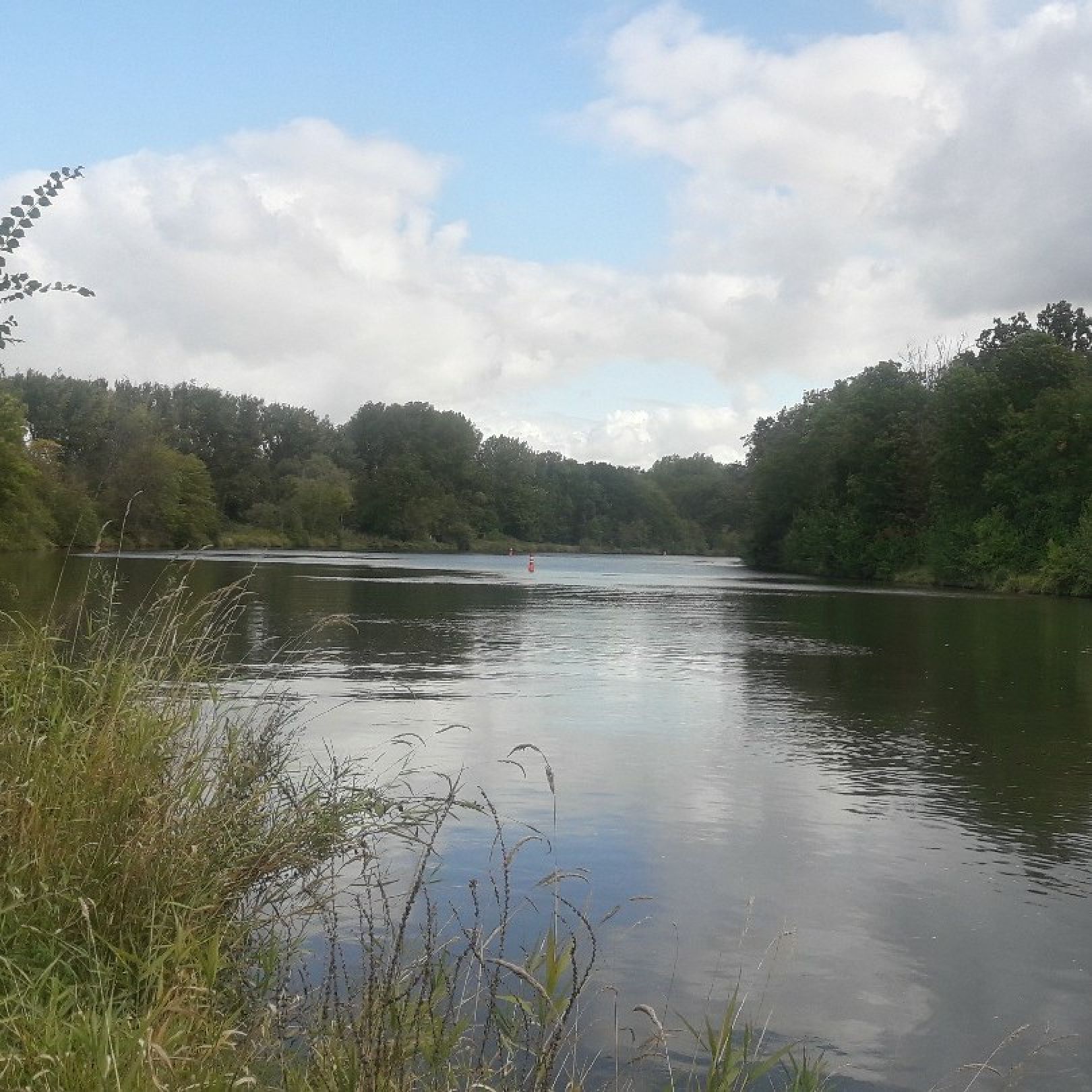 Saale (Gröna) angeln
