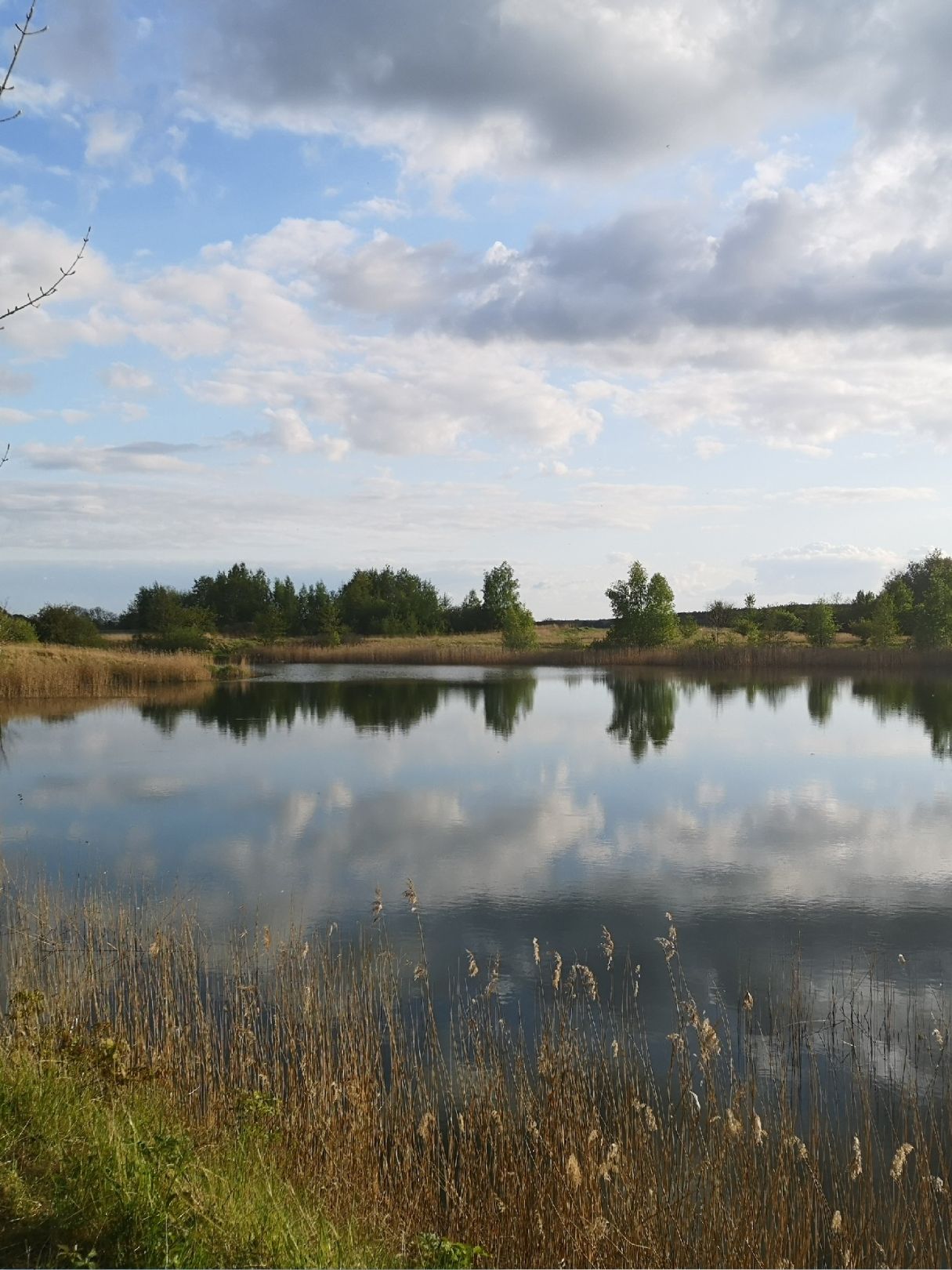 Teich Kransevitz angeln