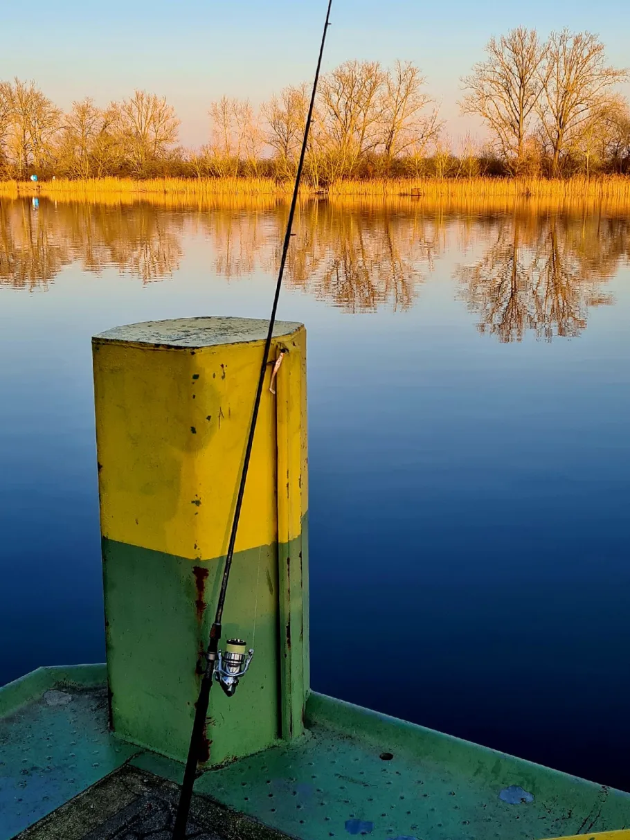 Westoder (Mescherin) angeln